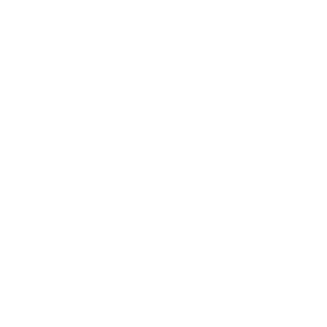IGS Foundation Logo White